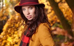 av狼论坛开放注册